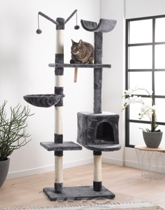 Picture of Moma Cat Playground Scratching Post